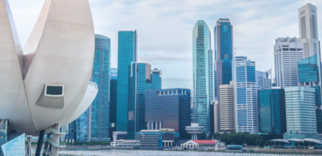 The NUS MSc in Management + CEMS MIM